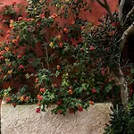 Casa Flamingo بيت ضيافة فوز دو أريلهو