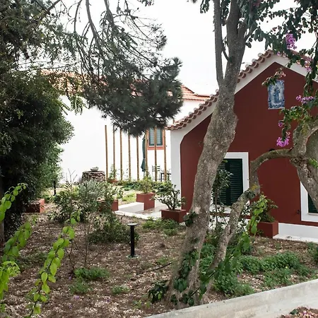 Casa Flamingo 4* Foz do Arelho