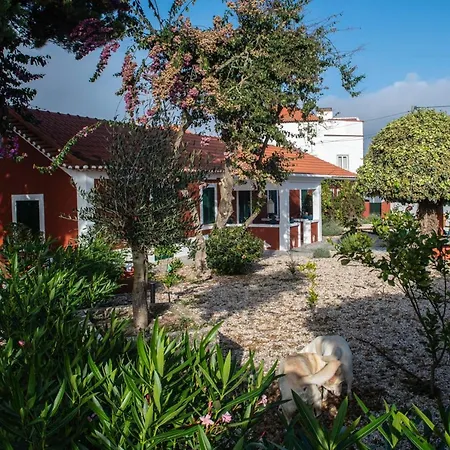 Casa Flamingo * Foz do Arelho