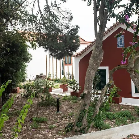 Casa Flamingo * Foz do Arelho