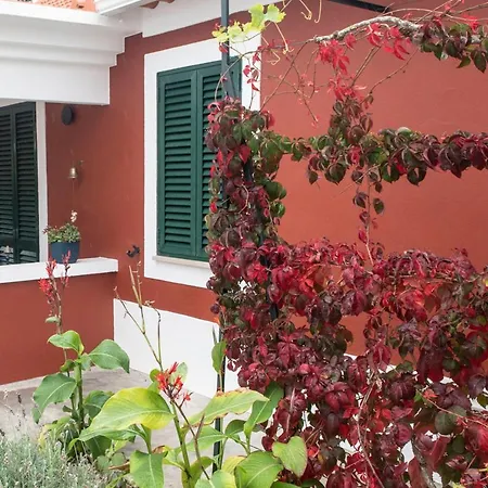 Casa Flamingo Guest house Foz do Arelho