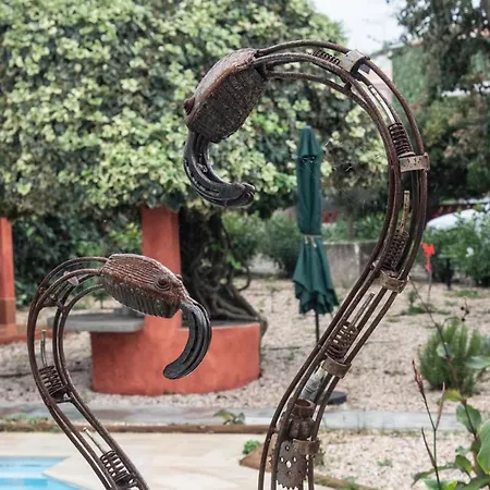 Guest house Casa Flamingo