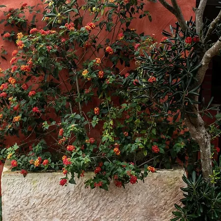 Casa Flamingo Guest house Foz do Arelho