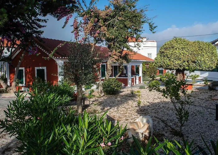 Casa Flamingo 4* Фош-ду-Арелью