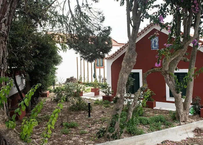 Casa Flamingo 4* Фош-ду-Арелью
