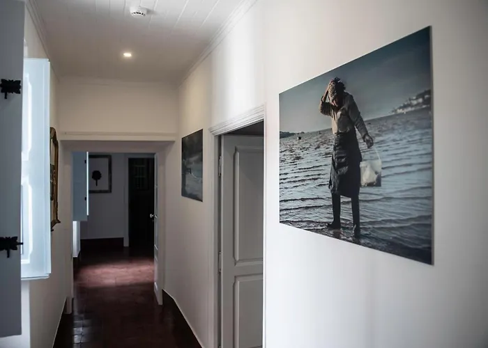 Casa Flamingo 4*