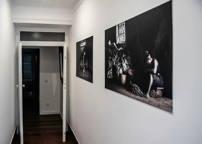 Casa Flamingo Фош-ду-Арелью
